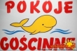 POKOJE GOŚCINNE WIELORYB - Władysławowo LOGO - POKOJE GOŚCINNE WIELORYB - Władysławowo